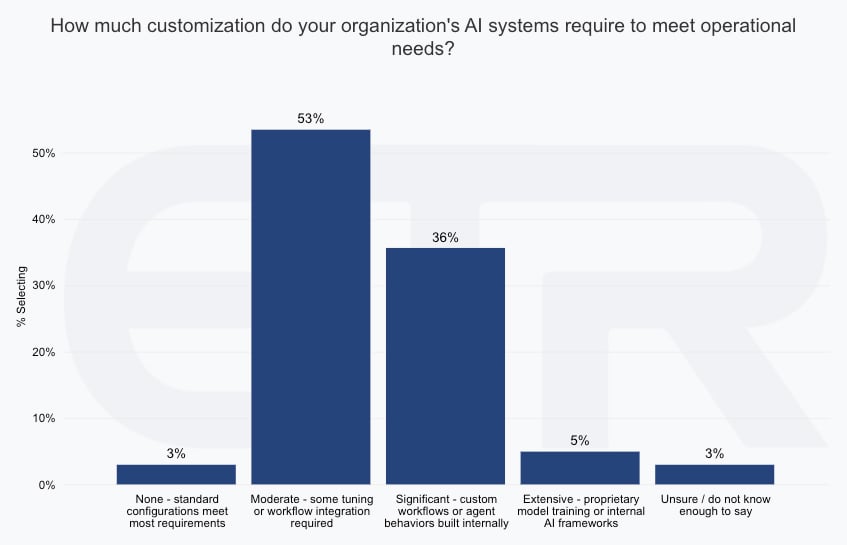 AI System Customization